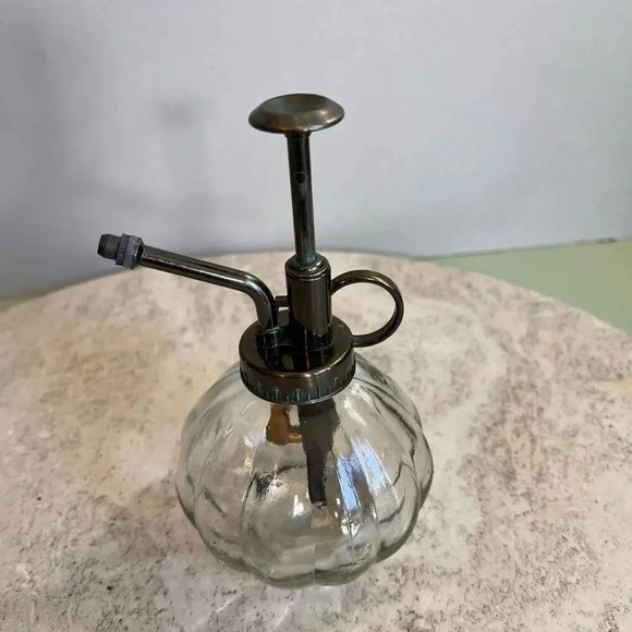 Vintage Perfume Spritzer Succulents Mister Clear Cut Glass Bottle Plunger System - Picture 3 of 10